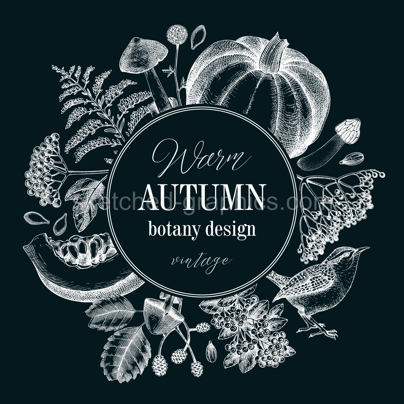Vintage autumn wreath design. Thanksgiving background. Fall leaves, pumpkins, berries, mushrooms sketches on chalkboard. Hand-drawn vector illustration. NOT AI generated Illustration